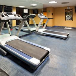 Bien-être - remise en forme Holiday Inn REYNOSA ZONA DORADA Fotos