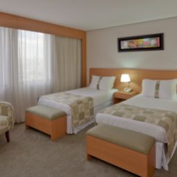 Habitación Holiday Inn SAO PAULO PARQUE ANHEMBI Fotos