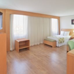 Habitación Holiday Inn SAO PAULO PARQUE ANHEMBI Fotos