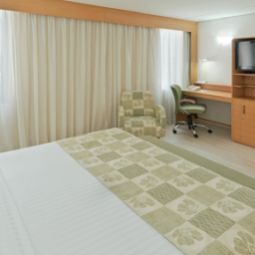 Habitación Holiday Inn SAO PAULO PARQUE ANHEMBI Fotos
