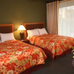 Room Phoenix Hotel  San Francisco Fotos