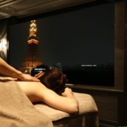 Wellness/fitness area Tokyo Prince Hotel Fotos