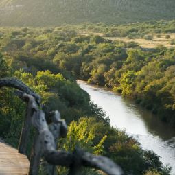 Kwandwe Private Game Reserve Grahamstown 
