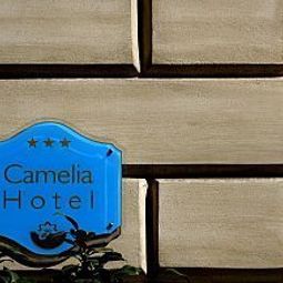 Фасад Camelia Fotos