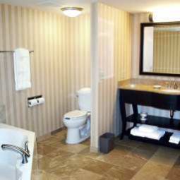 Suite Hampton Inn  Suites AlbanyDowntown Fotos