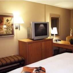 Zimmer Hampton Inn  Suites AlbanyDowntown Fotos