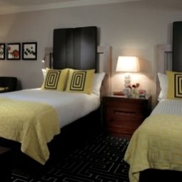 Chambre PALOMAR DALLAS A KIMPTON HOTEL Fotos