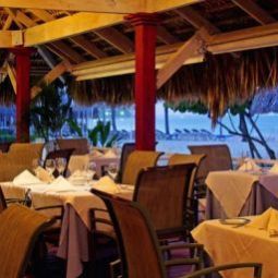 Restaurant PARADISUS PUNTA CANA Fotos