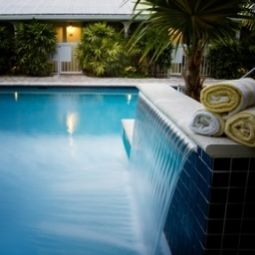 Pool Almond Tree Inn Fotos