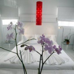 Room Catalina Hotel  Beach Club Fotos