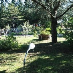 Giardino Villa Sant'Uberto Country Inn Fotos