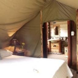 Buffalo Hills Game Reserve Plettenberg Bay 