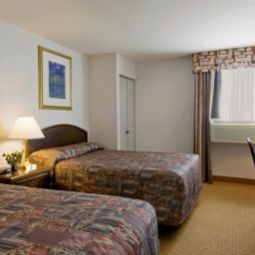 Chambre Quality Inn & Suites Airport Fotos