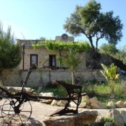 Finca Son Torrat Petra 