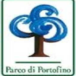  Tirreno Fotos
