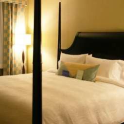 Suite Hilton Garden Inn New York/Tribeca Fotos