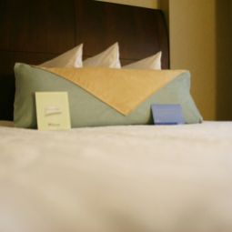 Habitación Hilton Garden Inn New York/Tribeca Fotos