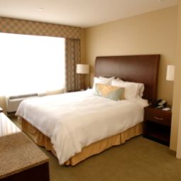 Habitación Hilton Garden Inn New York/Tribeca Fotos