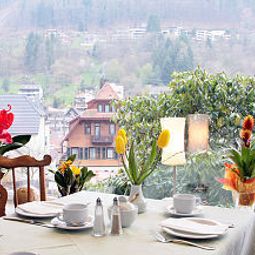 Ausblick Apart-Hotel Schwarzw. Panorama Fotos