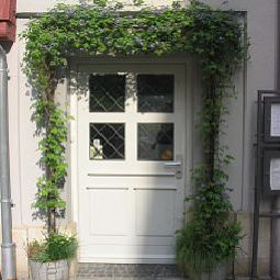Hotelfotos Blauer Bock Gasthof