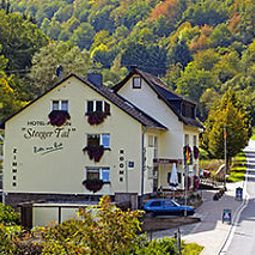 Vue Steeger Tal Pension Fotos