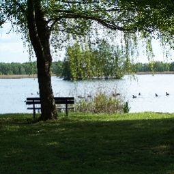 Umgebung Zum Goldenen Löwen Fotos