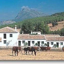 El Horcajo Ronda 