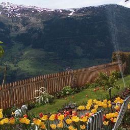 Jardín Alpenrose Fotos