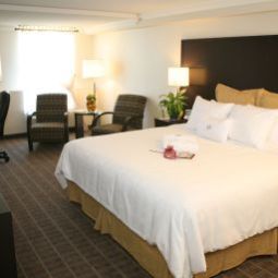 Camera Crowne Plaza TORONTO AIRPORT Fotos