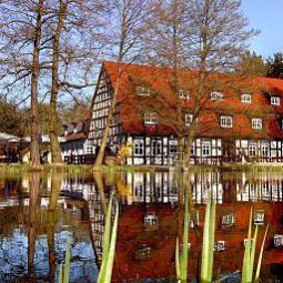 Hotelfotos Springbach-Mühle
