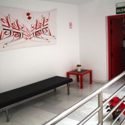  Del Pintor Fotos