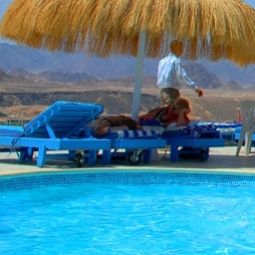 Piscina Beach Albatros Resort Fotos