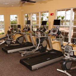 Fitness Vista Cay By Millenium Fotos