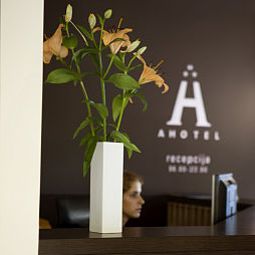 Empfang AHOTEL Fotos