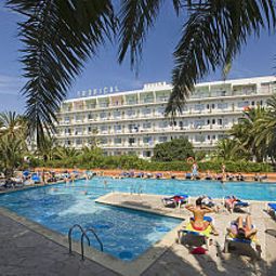 Piscine Tropical Fotos