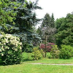 Garten Park Ambiente Fotos