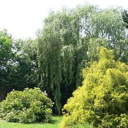 Ausblick Park Ambiente Fotos