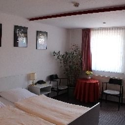  Eichhorn Fotos