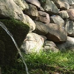 Jardin Klasztor Cedynia Fotos