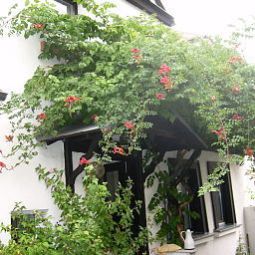 Exterior view Herberge in der Buttergasse Fotos