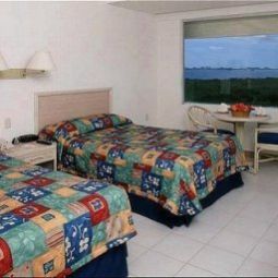 Chambre Oasis Palm Beach Fotos