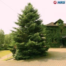Außenansicht Wiesenmühle Landgasthof Fotos