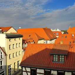 Ausblick Palmenhof Fotos