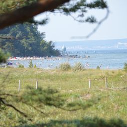  Siggis Pension Ferienwohnungen Fotos
