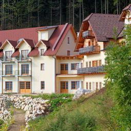 Steinschaler Dörfl Frankenfels 