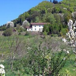 Steinschaler Haus Königswiese Kirchberg an der Pielach Tradigist
