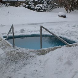 Pool Sonnenwald Fotos