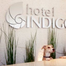 Halle Hotel Indigo SAN DIEGO-GASLAMP QUARTER Fotos