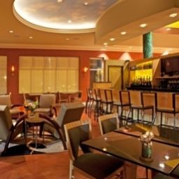 Bar Holiday Inn Hotel & Suites MAPLE GROVE NW MPLS-ARBOR LKS Fotos
