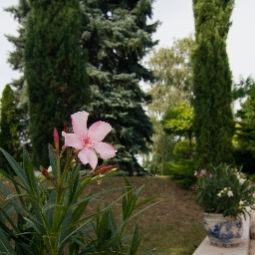 Jardín Eschment Gästehaus Fotos